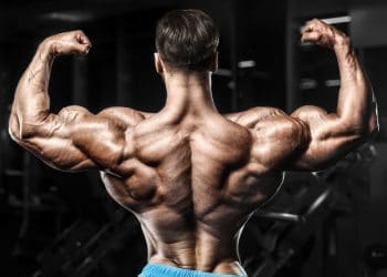 Back And Biceps Workout