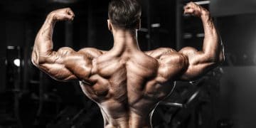 Back And Biceps Workout