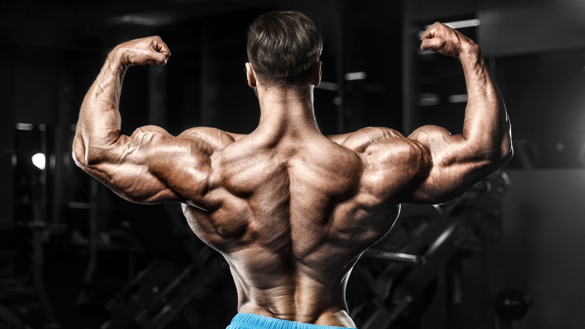 Back And Biceps Workout Line Mistery