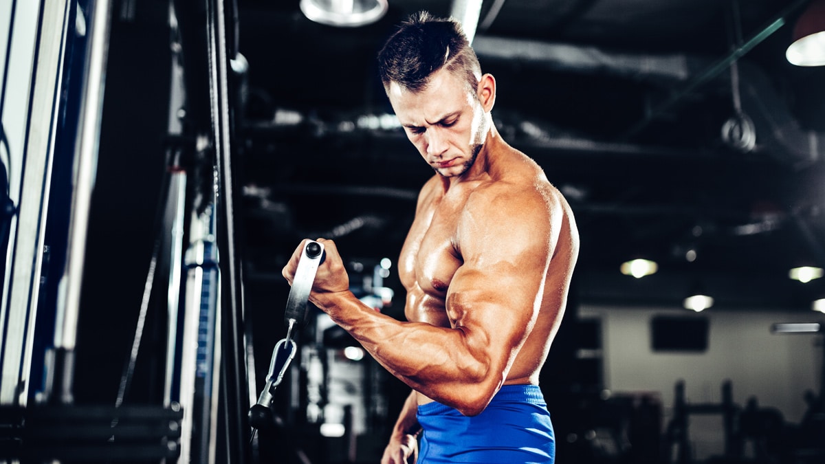 9 Best Cable Exercises for Your Arms and Bigger Biceps Fitness Volt