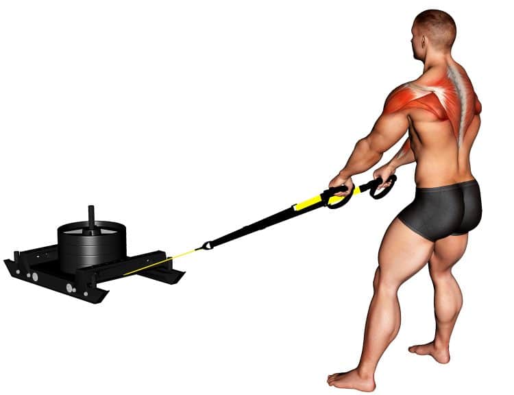 Sled Pull Benefits How To Muscles Worked And Variations Fitness Volt