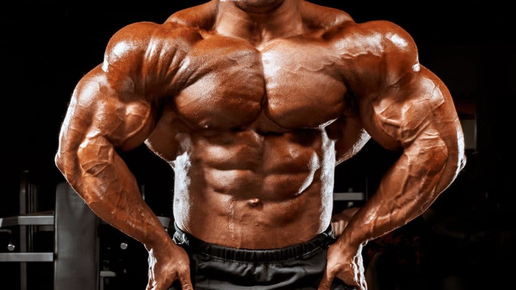 The No Press Deltoid Workout