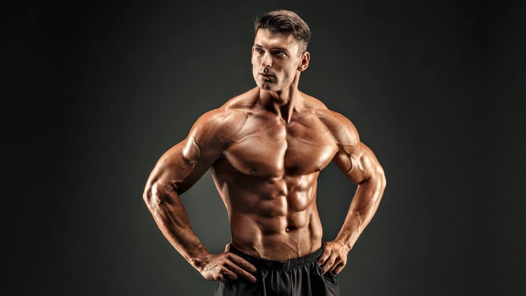 Aesthetics Training Diet Program