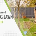 Calories Burned While Raking The Lawn