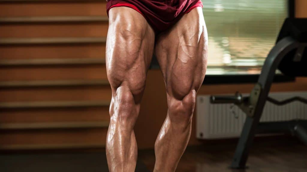 No-Squat Leg Workout
