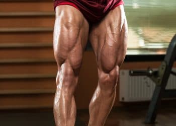 No-Squat Leg Workout