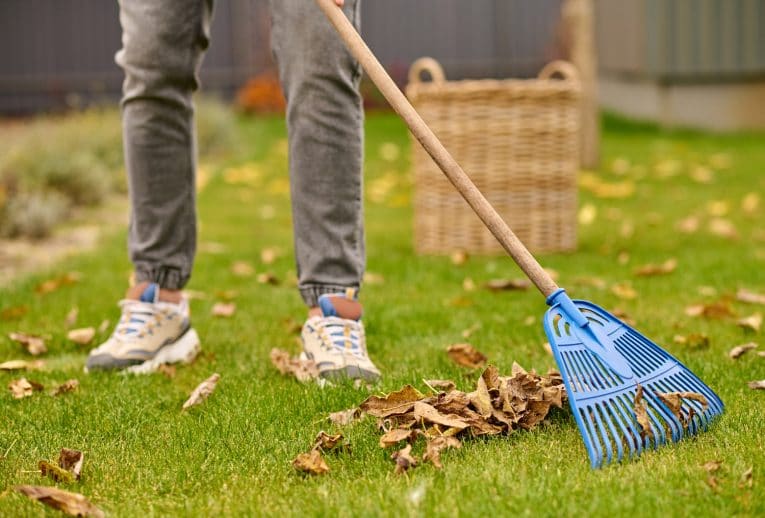 Calories Burned While Raking Calculator Fitness Volt