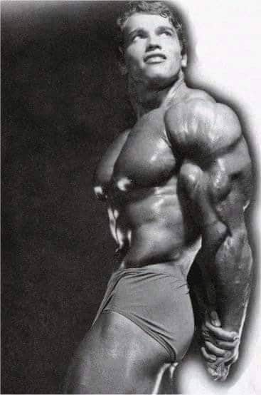 Arnold Schwarzenegger Triceps