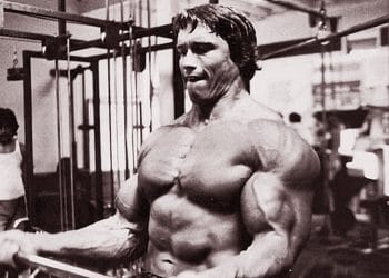 Arnold Split