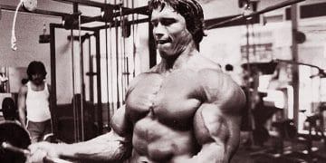 Arnold Split