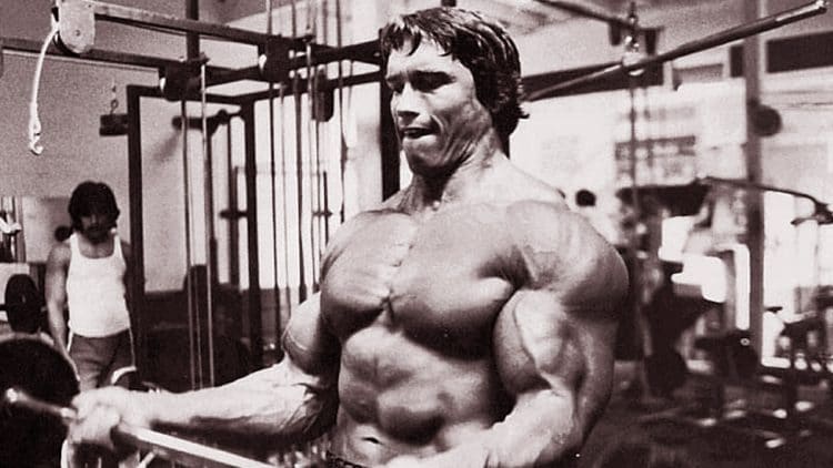 Arnold Split