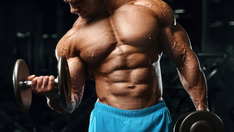 Dumbbell Biceps Workouts
