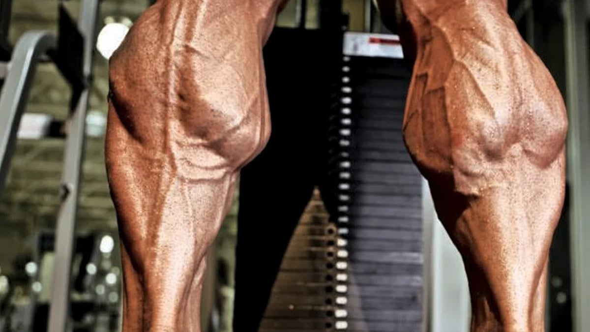 The Last Guide For Bigger Calves You ll Ever Need Fitness Volt