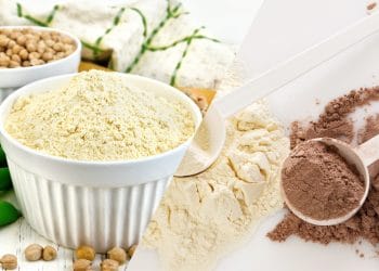 Pea Protein Vs Whey Protein