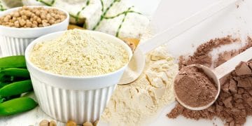 Pea Protein Vs Whey Protein