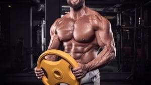 Plate Curls Guide