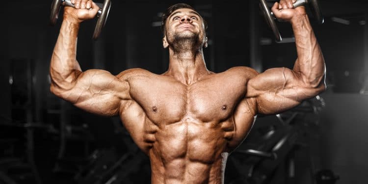 Pre-Exhaust Bodybuilding Workout
