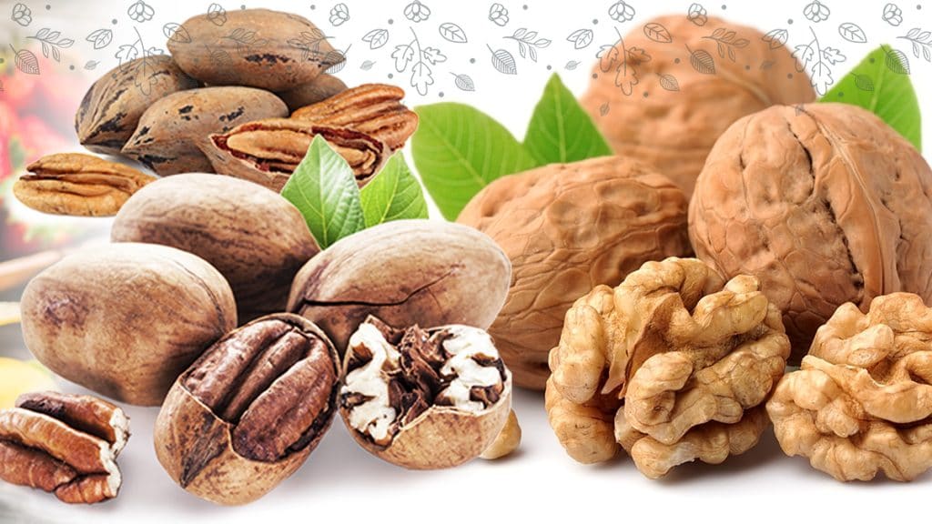 Walnuts Vs Pecans