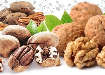 Walnuts Vs Pecans