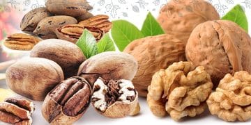 Walnuts Vs Pecans