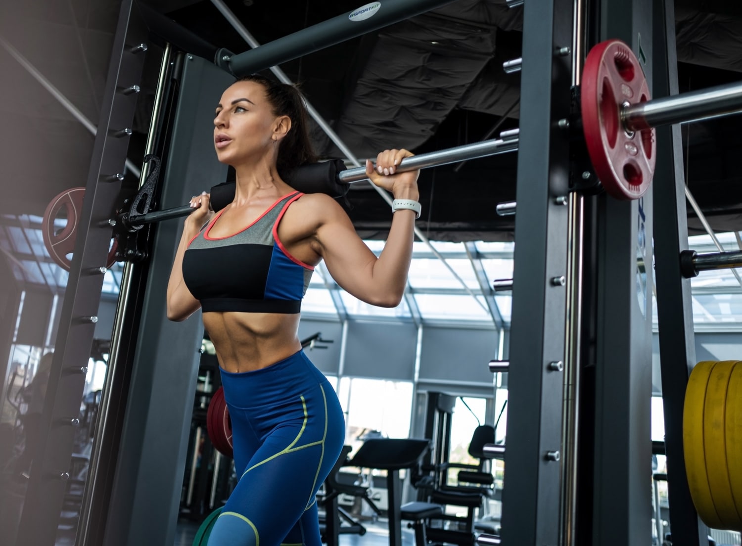 How Much Does A Smith Machine Bar Weigh? — Explained – Fitness Volt