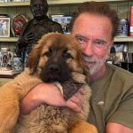 Arnold Schwarzenegger on stress