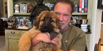 Arnold Schwarzenegger on stress