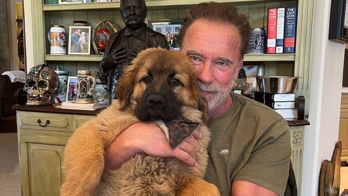 Arnold Schwarzenegger on stress