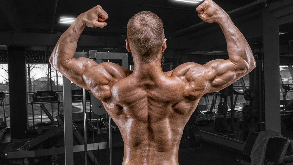 The Best 30-Minute Back Workout for Size and Strength – Fitness Volt