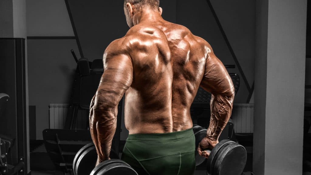 Build Bigger Back Workout