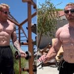 Dennis Wolf Downsized
