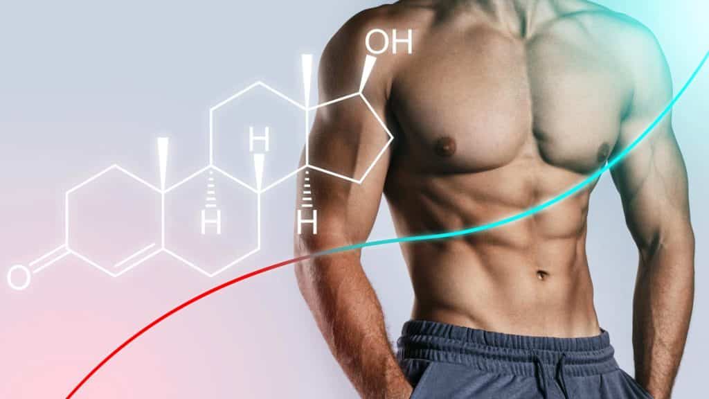 Increase Testosterone