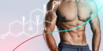 Increase Testosterone