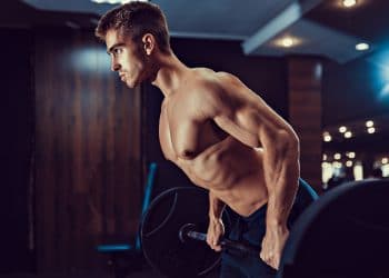 Reverse Fly Alternatives