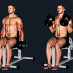 Seated Hammer Curl