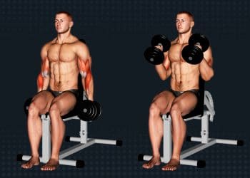 Seated Hammer Curl