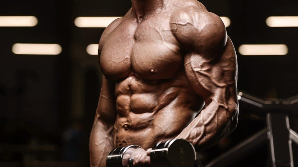 Shoulder And Biceps Workout