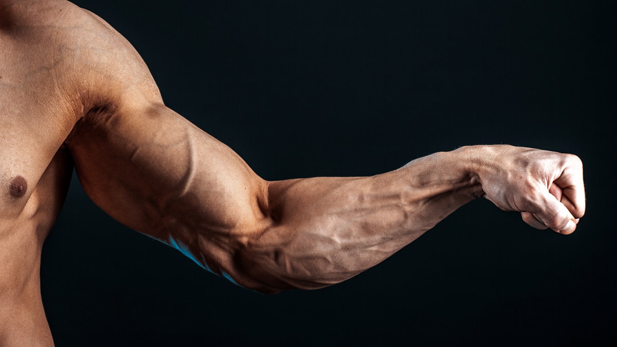 Skinny Forearms? Build Your Lower Arms with These 13 Exercises and Workout!  – Fitness Volt
