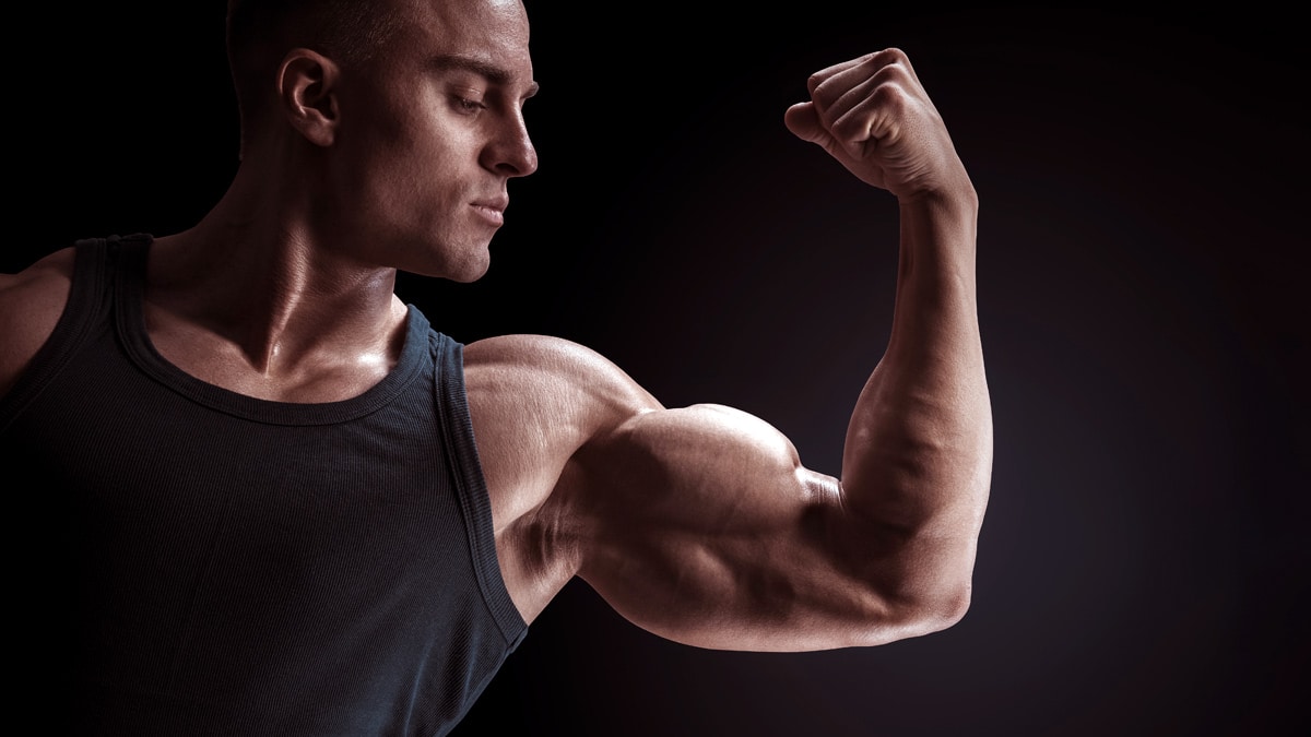 workouts for biceps