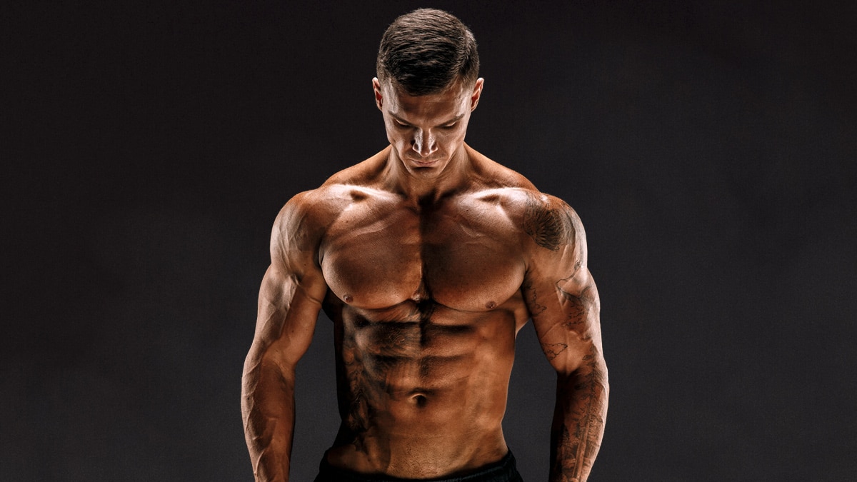 Bodybuilding for Skinny Guys: A Guide for Hardgainers StrengthLog