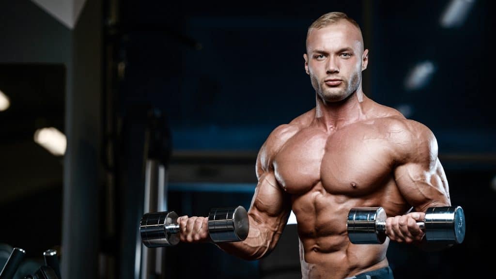Half Biceps Curl Guide