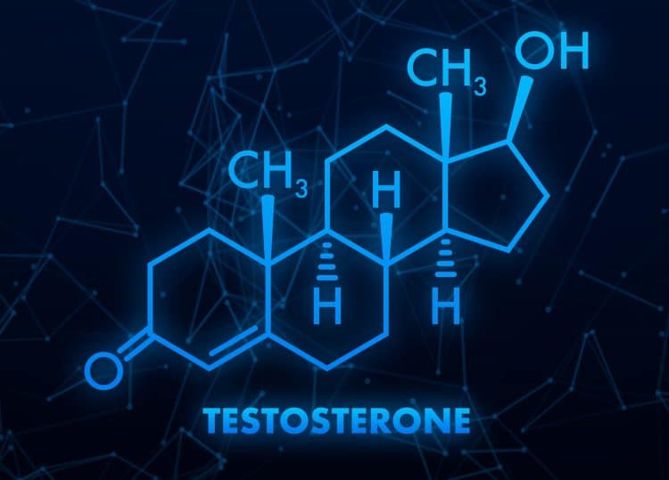 Testosterone Molecular Structure