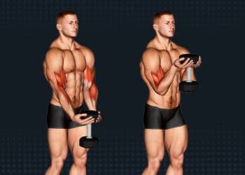 Waiter Curl Exercise Guide