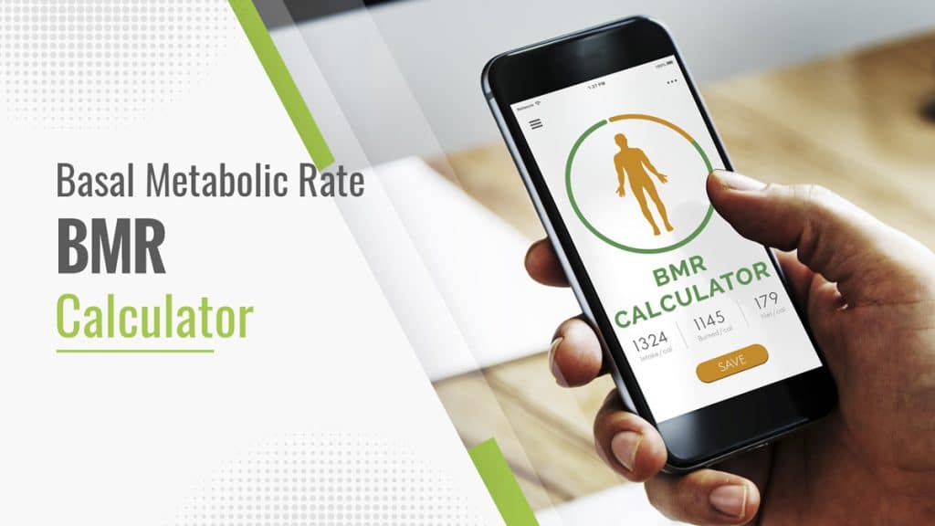 Bmr Calculator