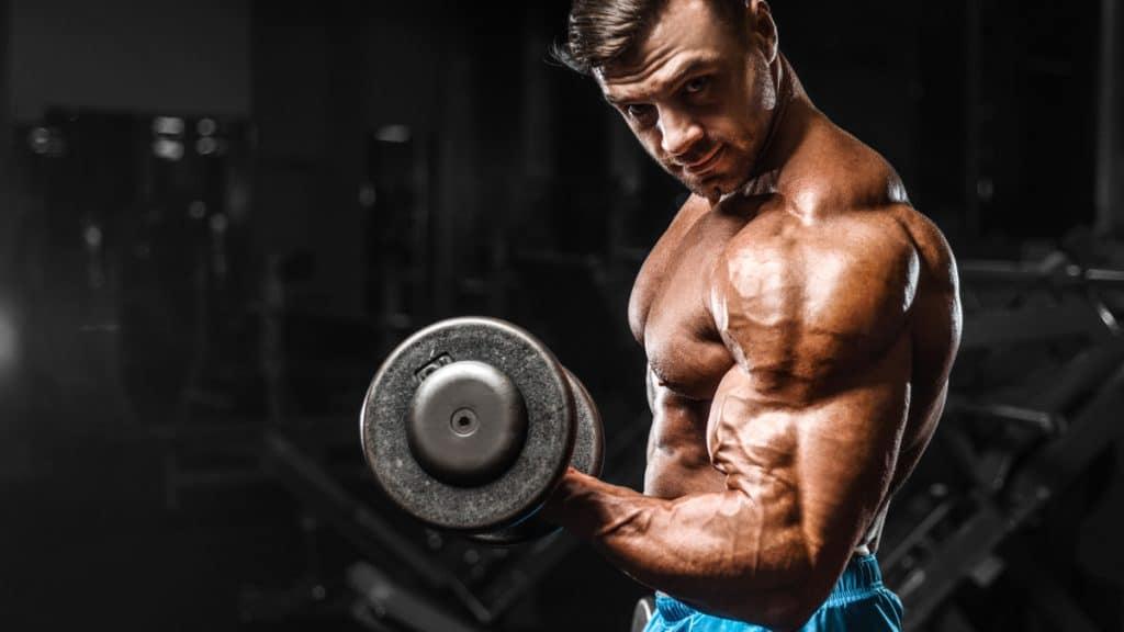 Biceps Peak Exercises