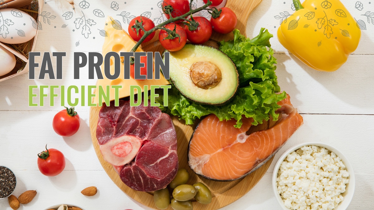 the-ultimate-guide-on-fat-protein-efficient-diet-fitness-volt-40