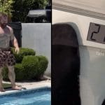 Flex Lewis Downsized