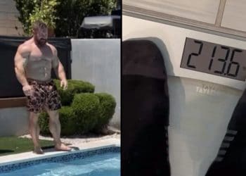 Flex Lewis Downsized