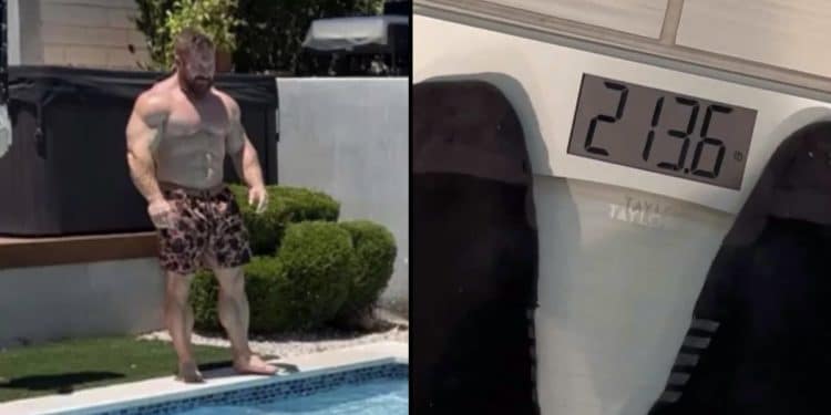 Flex Lewis Downsized