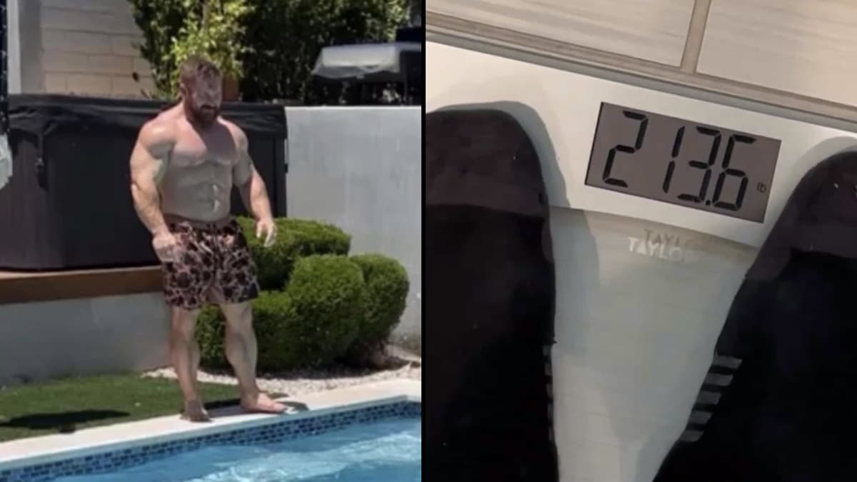 Flex Lewis Downsized